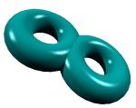 Figure 12: A double torus