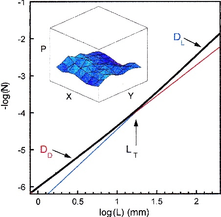 Figure 3: A plot of 
log N(L) versus log L for the aluminium trajectories 
of the painting 'Blue Poles'. The black line is the 
data (composed of 1523 data points within the first 
decade). The red and blue lines indicate the two gradients. 
Note that the graph remains linear beyond the range shown.
The upper inset shows a plot of pattern density P versus 
the X and Y positions across the painting 'Number 14' 
(0.57m by 0.78m). P is defined as the per centage of 
the canvas surface area fill
ed by the pattern within a square of side length L= 0.05m. 
The plotted ranges are 0 < P < 100% and 0< X, Y < 
0.43m.  The lower inset is a schematic representation of the 
box counting technique (see text for details). 