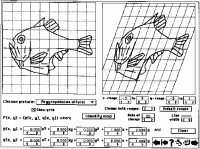 Figure 2. View of the user interface for the
Thompson transformation program