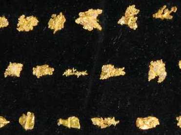 Rare dendritic formations of gold that will be
  analysed using the fingerprinting technique