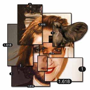 composite face