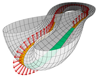 Half of a Klein bottle with MÃ¶bius strip