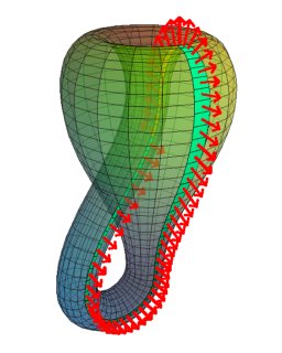 View the <a href="./kleinBottle_anim.html">animated
  version</a> (997K) or explore the <a
  href="./applets/appletKleinWithBand.html">java applet</a>
