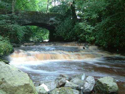 Flowing river