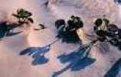 Shadows on a landscape