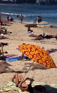 A beach scene