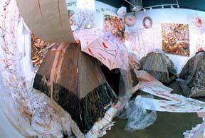 A view of Carla's <i>Cosmic orbifolds</i> installation.
Reproduced with kind permission of the artist.