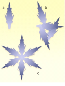Figure 7: Some configurations of rays of snowflakes