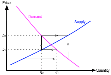 The cobweb model.