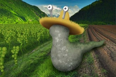 A slugfarmer