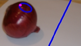 An onion with a loop and its shadow