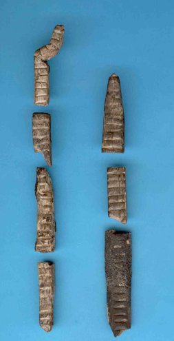 A tally stick