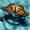 Feature icon