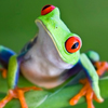Feature icon