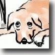 Feature icon